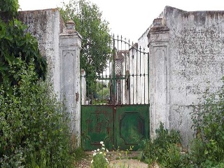 PARAJE VALLE DE LA CUERNA 6