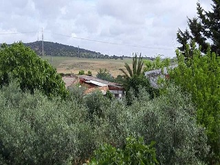 PARAJE VALLE DE LA CUERNA 11
