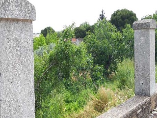 PARAJE VALLE DE LA CUERNA 12