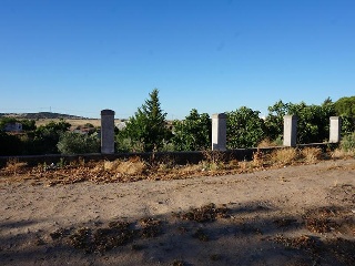 PARAJE VALLE DE LA CUERNA 14