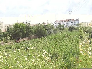 PARAJE VALLE DE LA CUERNA 16