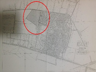 PUEBLA DE LA REINA 7