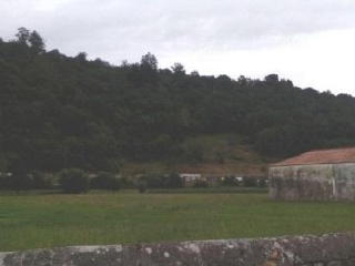 VEGA DE CONTRANQUIL 3