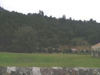 VEGA DE CONTRANQUIL 5