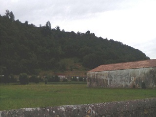 VEGA DE CONTRANQUIL 6