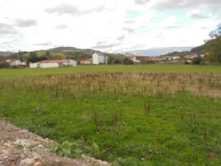 VEGA DE CONTRANQUIL 7