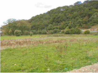 VEGA DE CONTRANQUIL 8