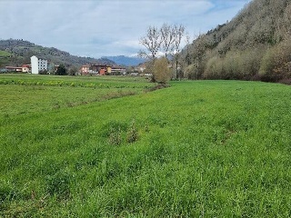VEGA DE CONTRANQUIL 10