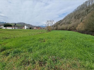 VEGA DE CONTRANQUIL 11