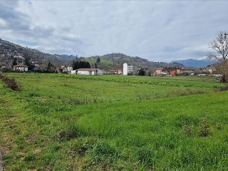 VEGA DE CONTRANQUIL 12