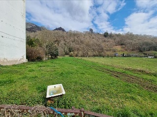VEGA DE CONTRANQUIL 14