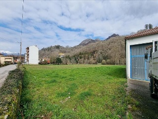 VEGA DE CONTRANQUIL 15