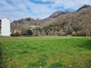 VEGA DE CONTRANQUIL 16