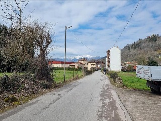 VEGA DE CONTRANQUIL 19