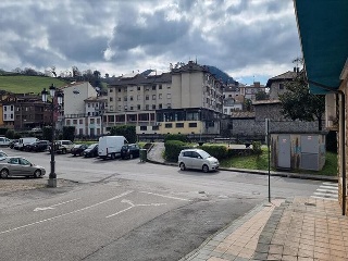 VEGA DE CONTRANQUIL 22