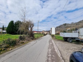 VEGA DE CONTRANQUIL 28