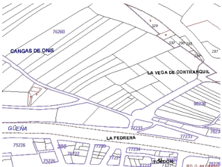 VEGA DE CONTRANQUIL 34