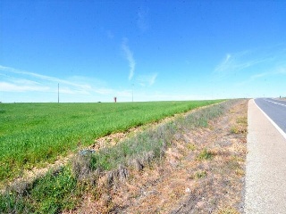 SECTOR UBZ R 3-LAS CONSEJAS. PARCELA M8 3