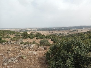MONTE VEGAS 5