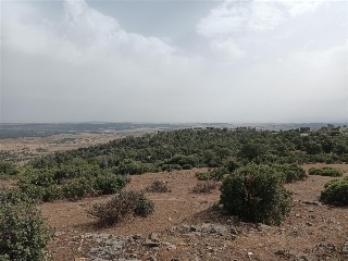 MONTE VEGAS 6