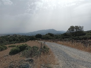 MONTE VEGAS 7