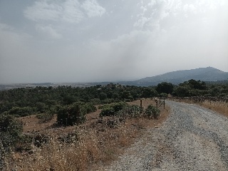 MONTE VEGAS 8