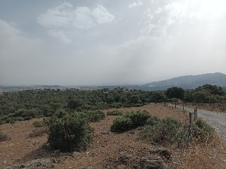 MONTE VEGAS 9