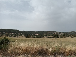 MONTE VEGAS 10