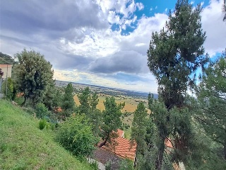 MONTE VEGAS 14