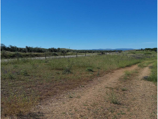 PIEDRABUENA 2