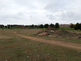 PIEDRABUENA 3