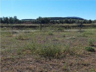 PIEDRABUENA 7