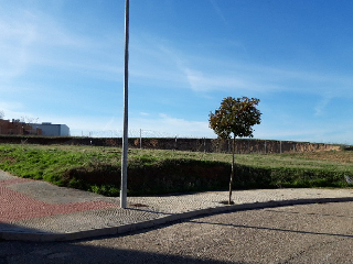 Pisos banco Camarena