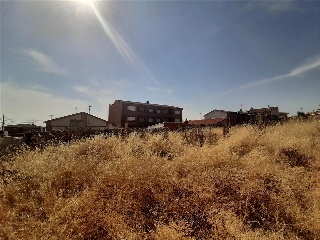 ESCALONILLA 7