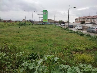ESCALONILLA 8