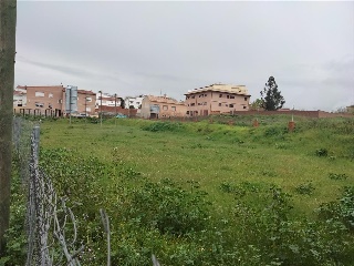 ESCALONILLA 9