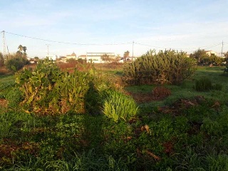 POLIGONO 24 2
