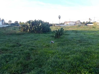 POLIGONO 24 3
