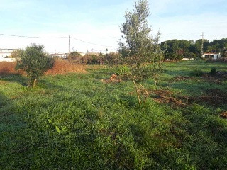 POLIGONO 24 4
