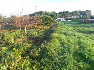 POLIGONO 24 5