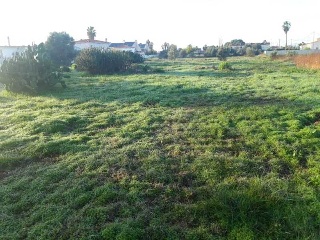 POLIGONO 24 6