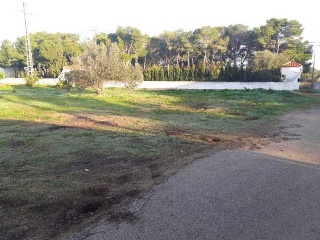 POLIGONO 24 8