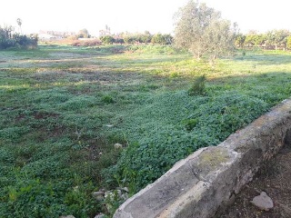 POLIGONO 24 9