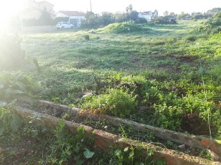 POLIGONO 24 11