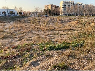 SECTOR 56.3 DEL PGOU 11
