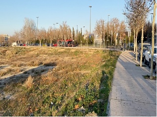 SECTOR 56.3 DEL PGOU 14