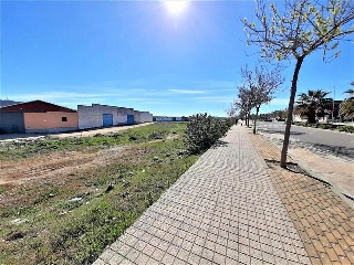 DEHESA DE LOS CABALLOS 2