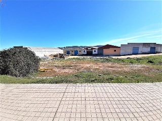 DEHESA DE LOS CABALLOS 4