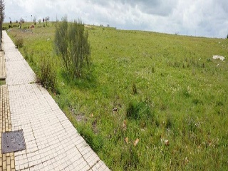 LA CAÑADA 7