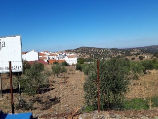 CAROLINA CORONADO 9